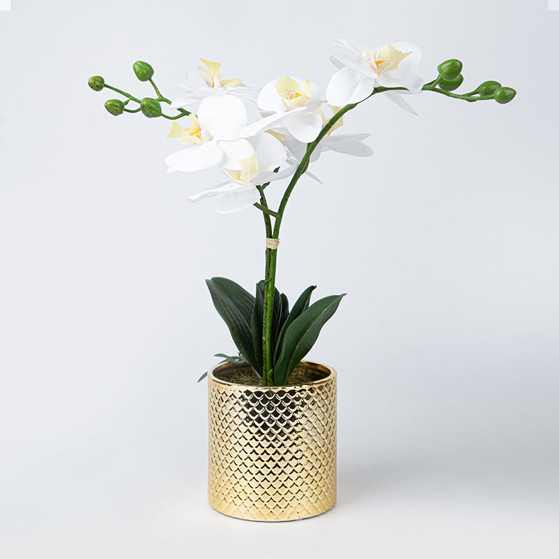 FREE GIFT | Artificial Orchid Flowers Potted in Ceramic Pot, White Faux Phalaenopsis Orchids