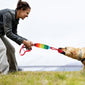 Pet Squeaky Toy
