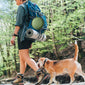 Portable dog bowl food dish outdoor drinking water pet for outdoor outings silicone folding bowl