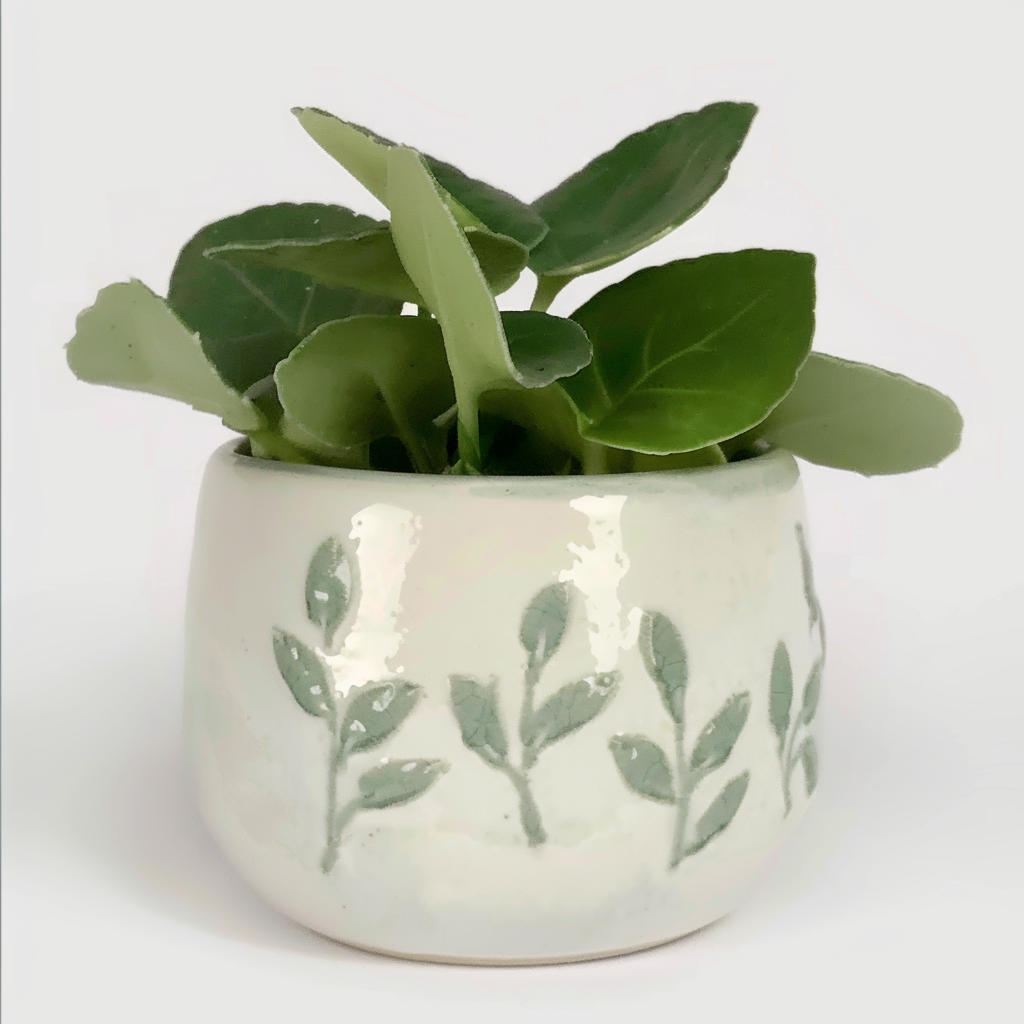 Succulents - Decorate your room-001