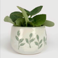 Succulents - Decorate your room-001