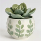 Succulents - Decorate your room-001