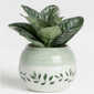 Succulents - Decorate your room-001